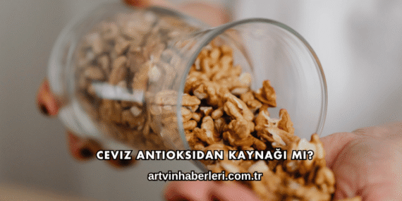 Ceviz Antioksidan Kaynağı mı?