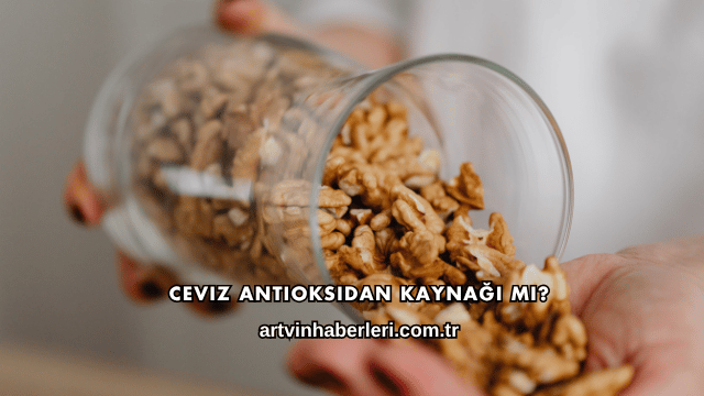 Ceviz Antioksidan Kaynağı mı?