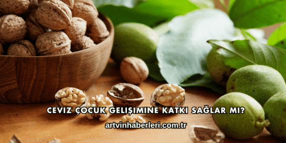 Ceviz Çocuk Gelişimine Katkı Sağlar mı?