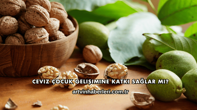 Ceviz Çocuk Gelişimine Katkı Sağlar mı?