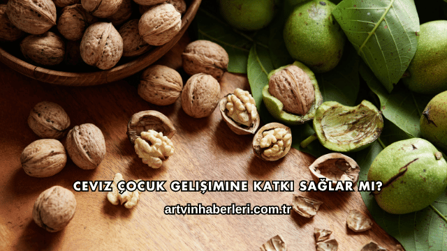 Ceviz Çocuk Gelişimine Katkı Sağlar mı?