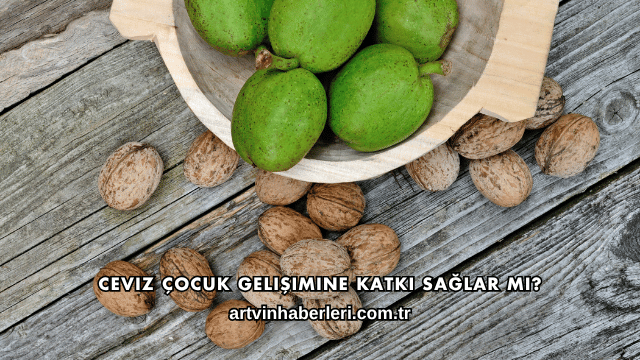 Ceviz Çocuk Gelişimine Katkı Sağlar mı?
