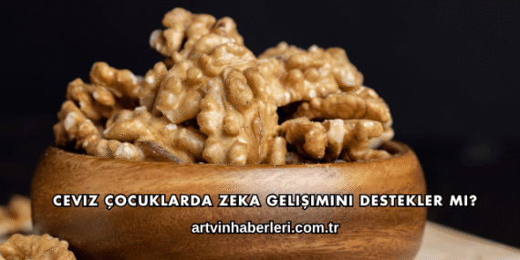 Ceviz Çocuklarda Zeka Gelişimini Destekler mi?