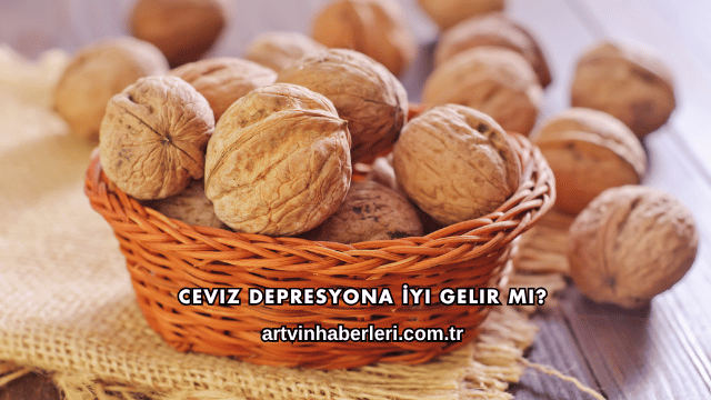 Ceviz Depresyona İyi Gelir mi?