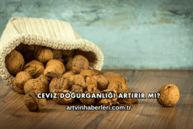Ceviz Doğurganlığı Artırır mı?