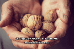 Ceviz Egzamaya İyi Gelir mi?