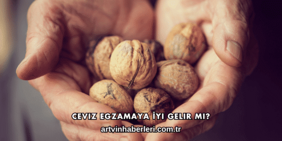 Ceviz Egzamaya İyi Gelir mi?
