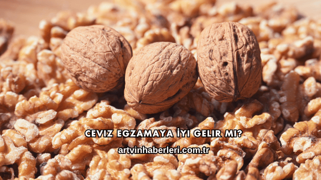 Ceviz Egzamaya İyi Gelir mi?