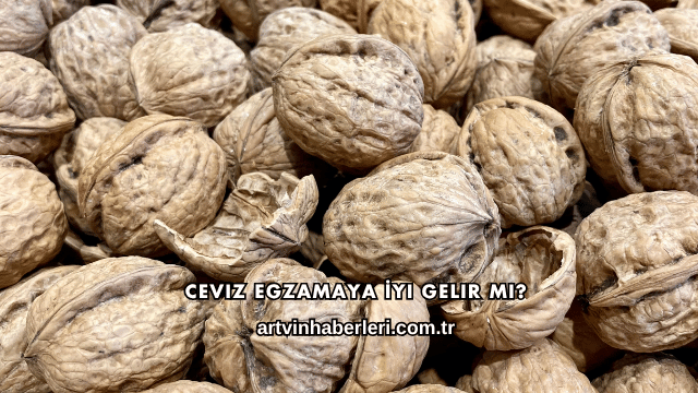 Ceviz Egzamaya İyi Gelir mi?