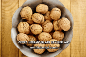 Ceviz Hormonları Etkiler mi?