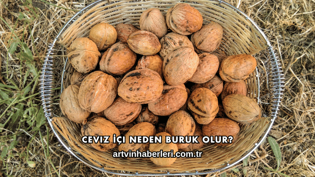 Ceviz İçi Neden Buruk Olur?