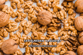 Ceviz Neden Yağlıdır?