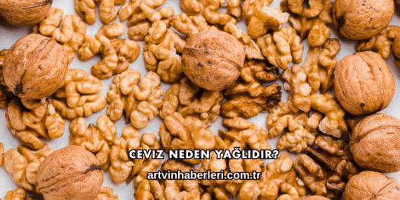 Ceviz Neden Yağlıdır?