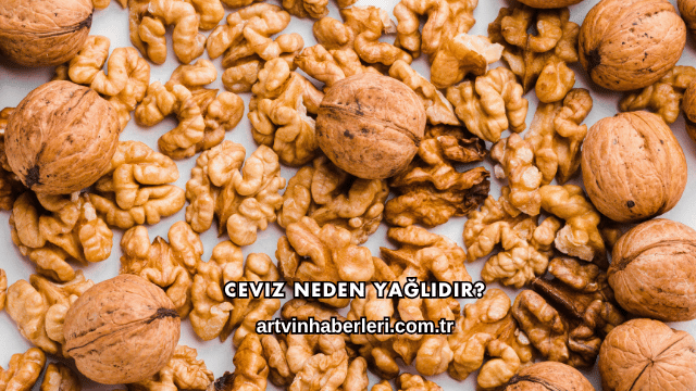 Ceviz Neden Yağlıdır?