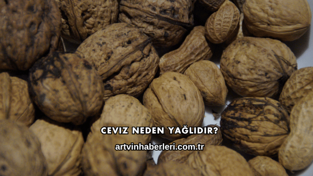Ceviz Neden Yağlıdır?