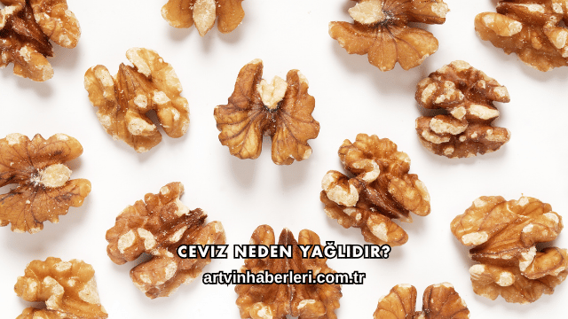 Ceviz Neden Yağlıdır?