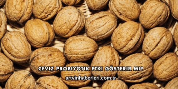 Ceviz Probiyotik Etki Gösterir mi?