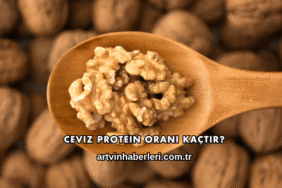 Ceviz Protein Oranı Kaçtır?