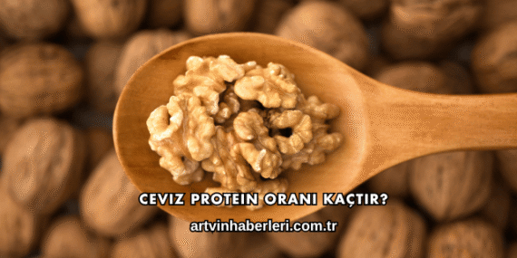 Ceviz Protein Oranı Kaçtır?