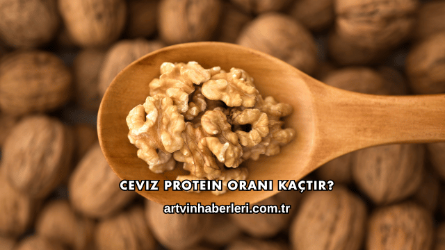 Ceviz Protein Oranı Kaçtır?