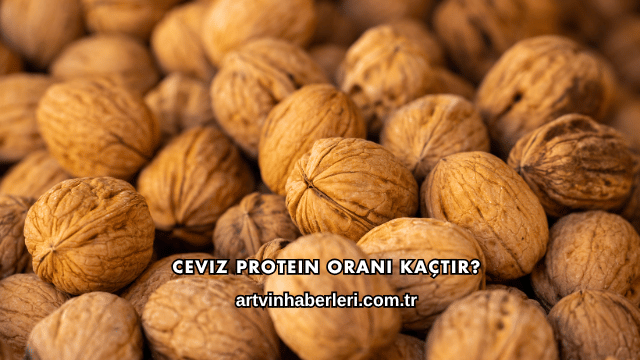 Ceviz Protein Oranı Kaçtır?