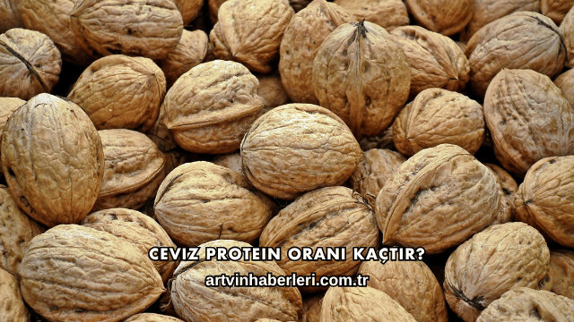 Ceviz Protein Oranı Kaçtır?