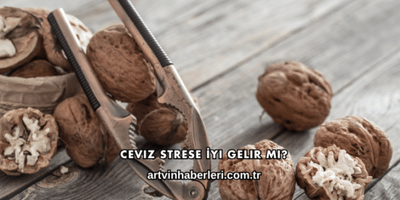 Ceviz Strese İyi Gelir mi?