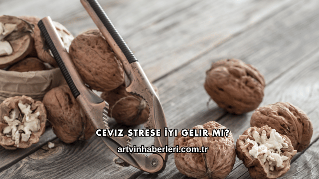 Ceviz Strese İyi Gelir mi?