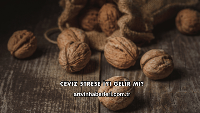 Ceviz Strese İyi Gelir mi?