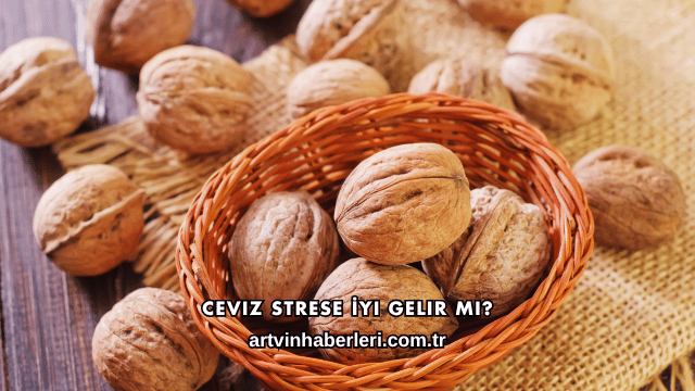 Ceviz Strese İyi Gelir mi?
