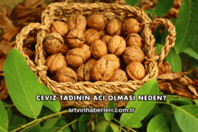 Ceviz Tadının Acı Olması Neden?
