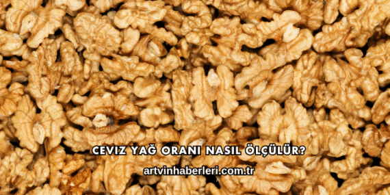 Ceviz Yağ Oranı Nasıl Ölçülür?