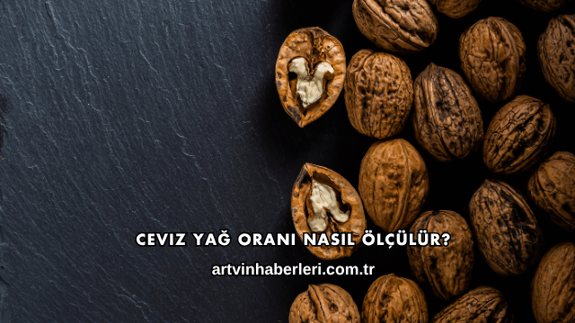 Ceviz Yağ Oranı Nasıl Ölçülür?