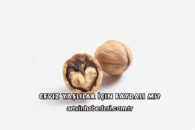 Ceviz Yaşlılar İçin Faydalı mı?