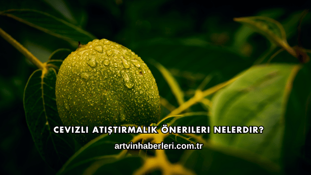 Cevizli Atıştırmalık Önerileri Nelerdir?