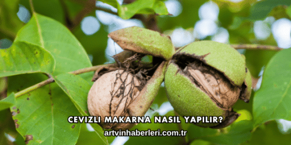 Cevizli Makarna Nasıl Yapılır?