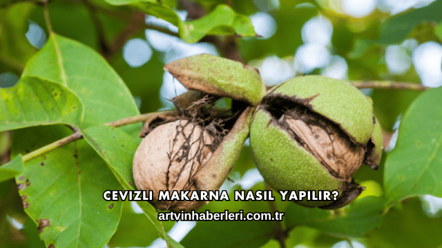 Cevizli Makarna Nasıl Yapılır?