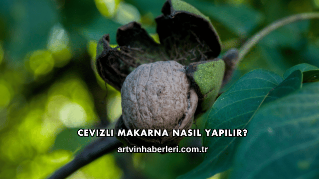 Cevizli Makarna Nasıl Yapılır?