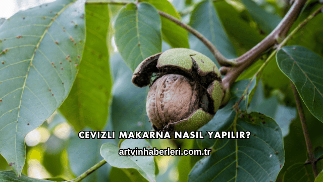 Cevizli Makarna Nasıl Yapılır?